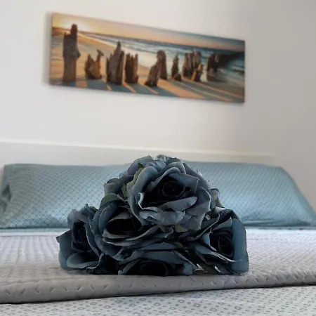 Dama House-free Parking Appartamento